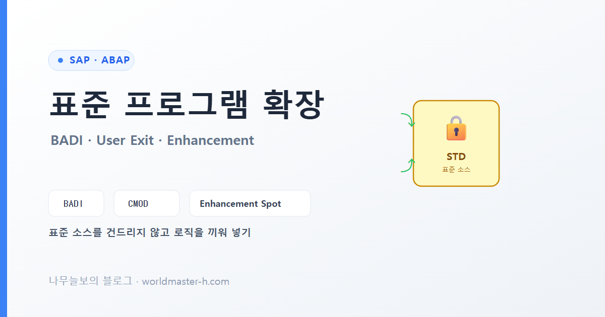 SAP 표준 프로그램 확장하기 배너